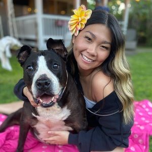 Meet your Posher, Jessie